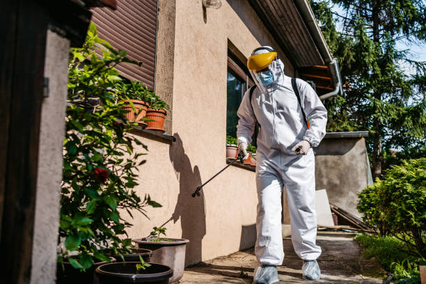 Best Local Pest Control Services  in Lyons, KS